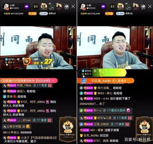 小洲最新爆料新闻直播,最新爆料新闻背后的真相 第2张 小洲最新爆料新闻直播,最新爆料新闻背后的真相 第2张